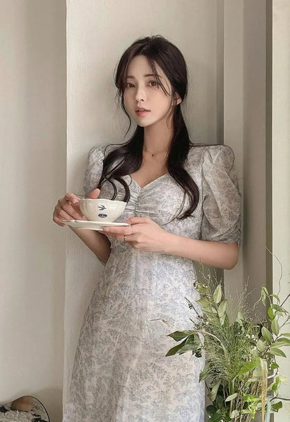 Chiffon printing dress